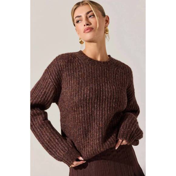 NEW ASTR archer crewneck sweater in brown
